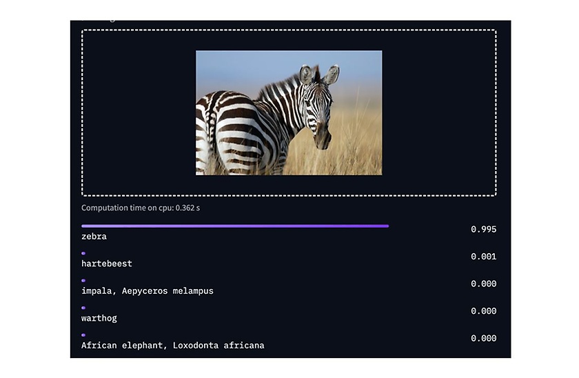 Bilderkennung eines Zebras Bilderkennung eines Zebras